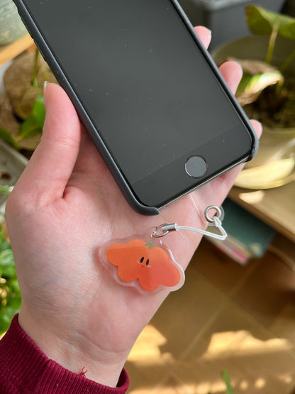 Phone charms mystère