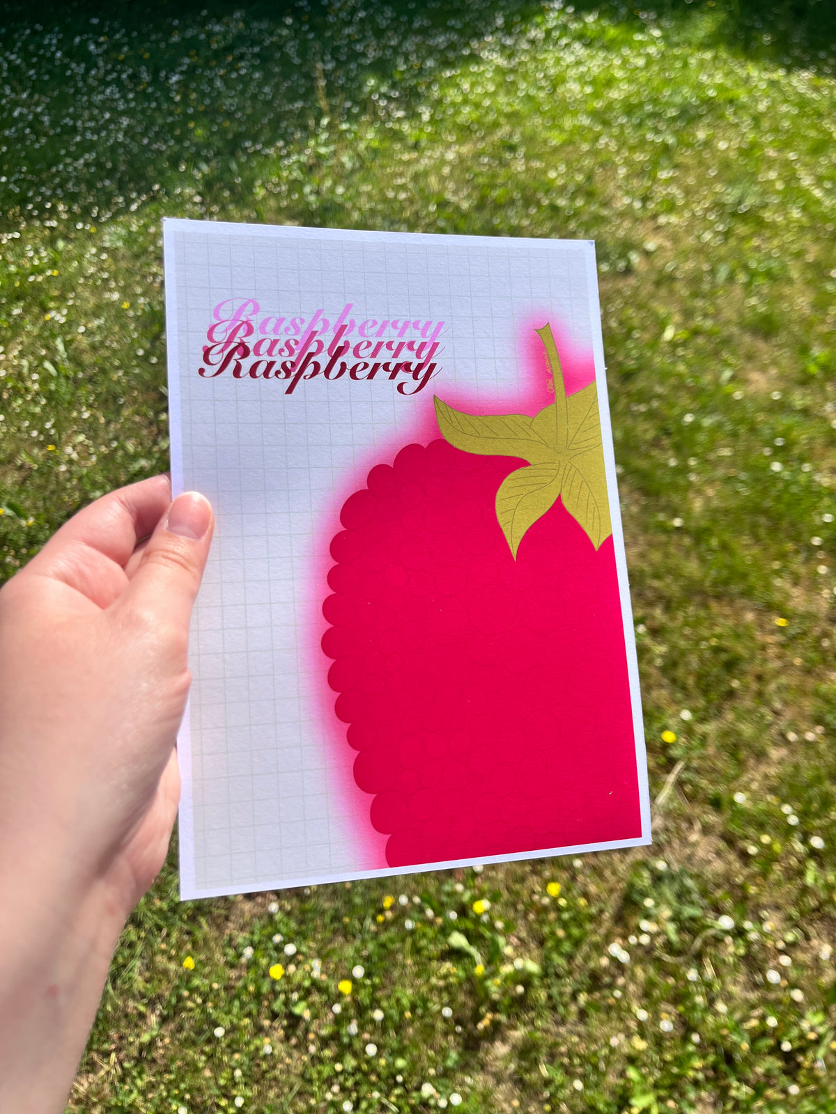 Affiche - Raspberry